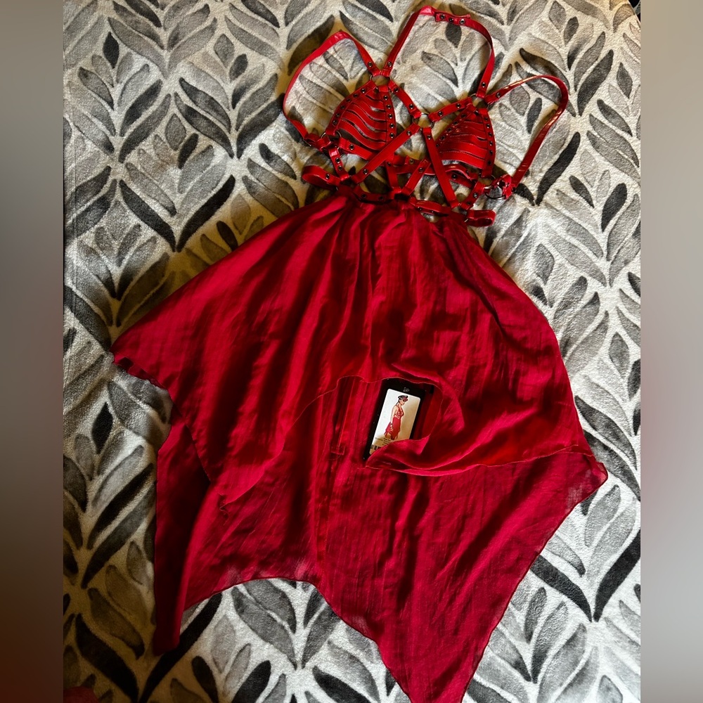 Celestial Ring master harness dress!